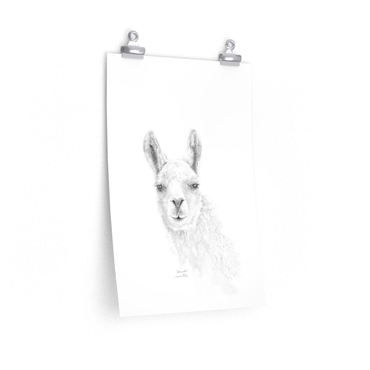 AMANDA Llama- Art Paper Print