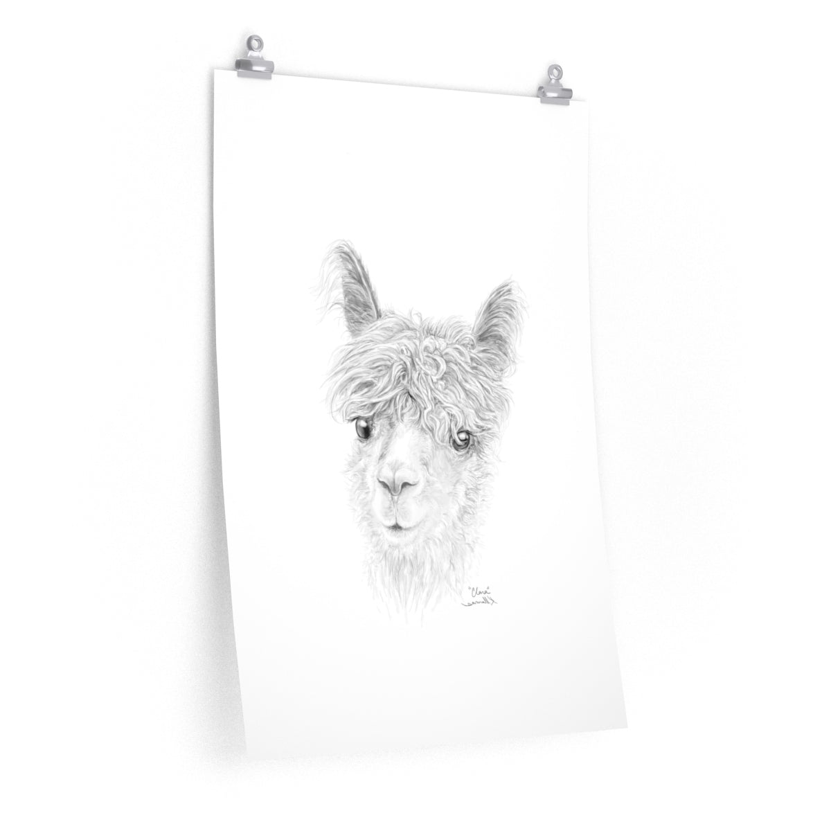 CLARA Llama- Art Paper Print