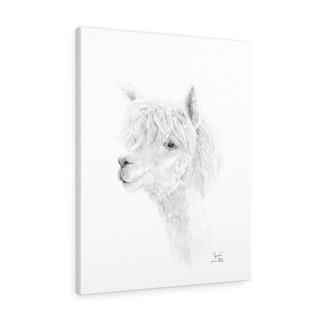 JONAH llama- Art Canvas