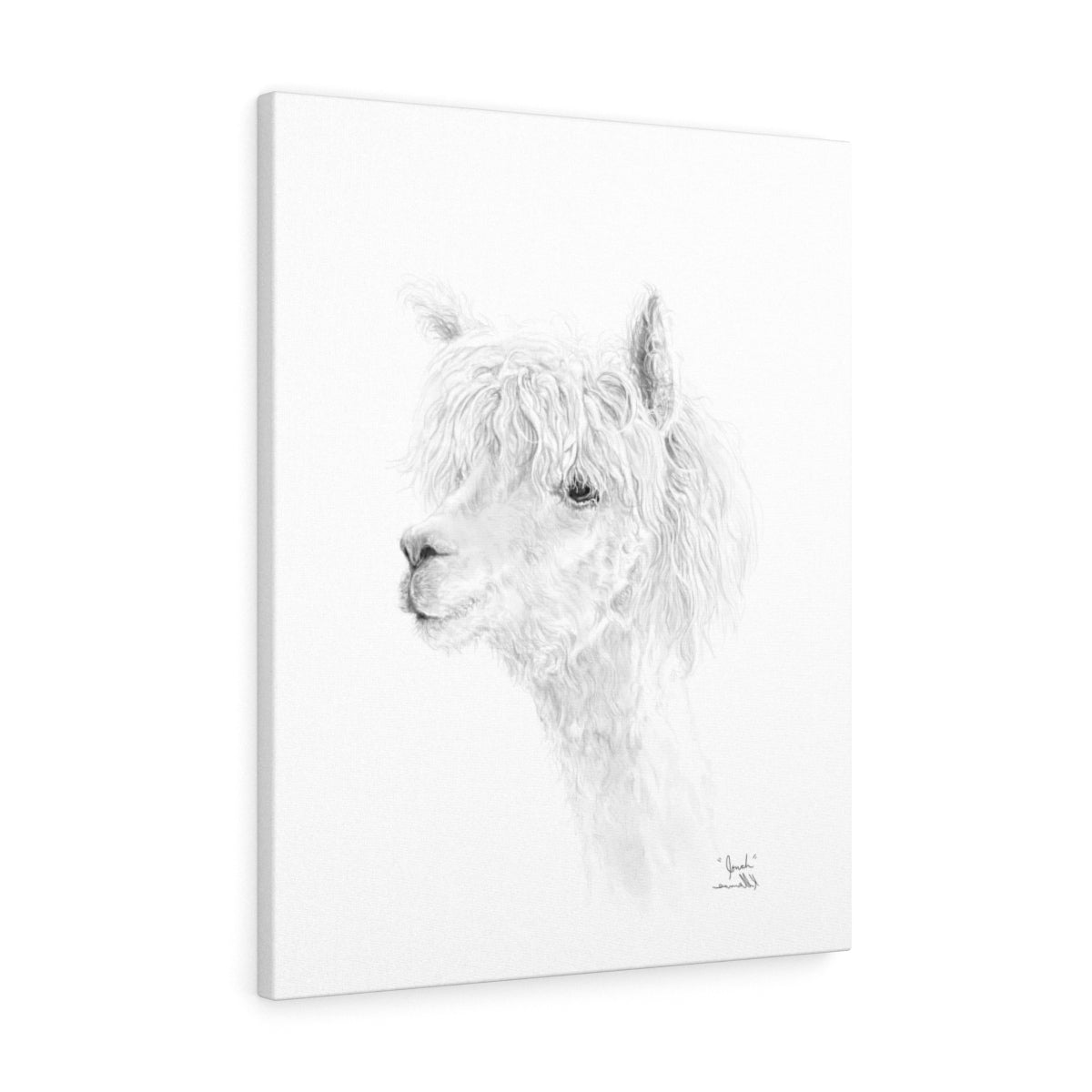 JONAH llama- Art Canvas