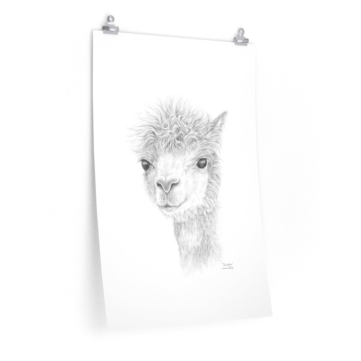 CHRISTINE Llama- Art Paper Print