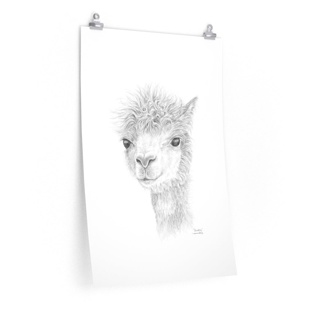 CHRISTINE Llama- Art Paper Print