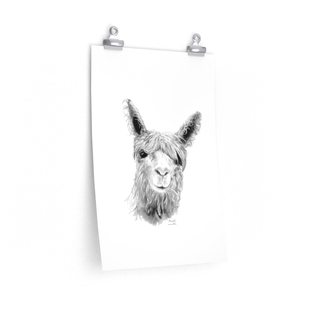 MIRANDA Llama- Art Paper Print