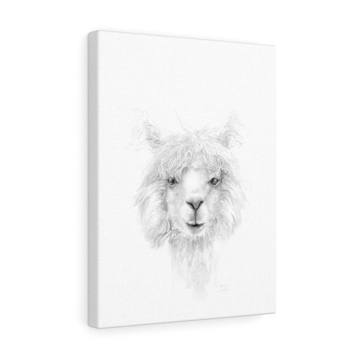 QUINN Llama - Art Canvas