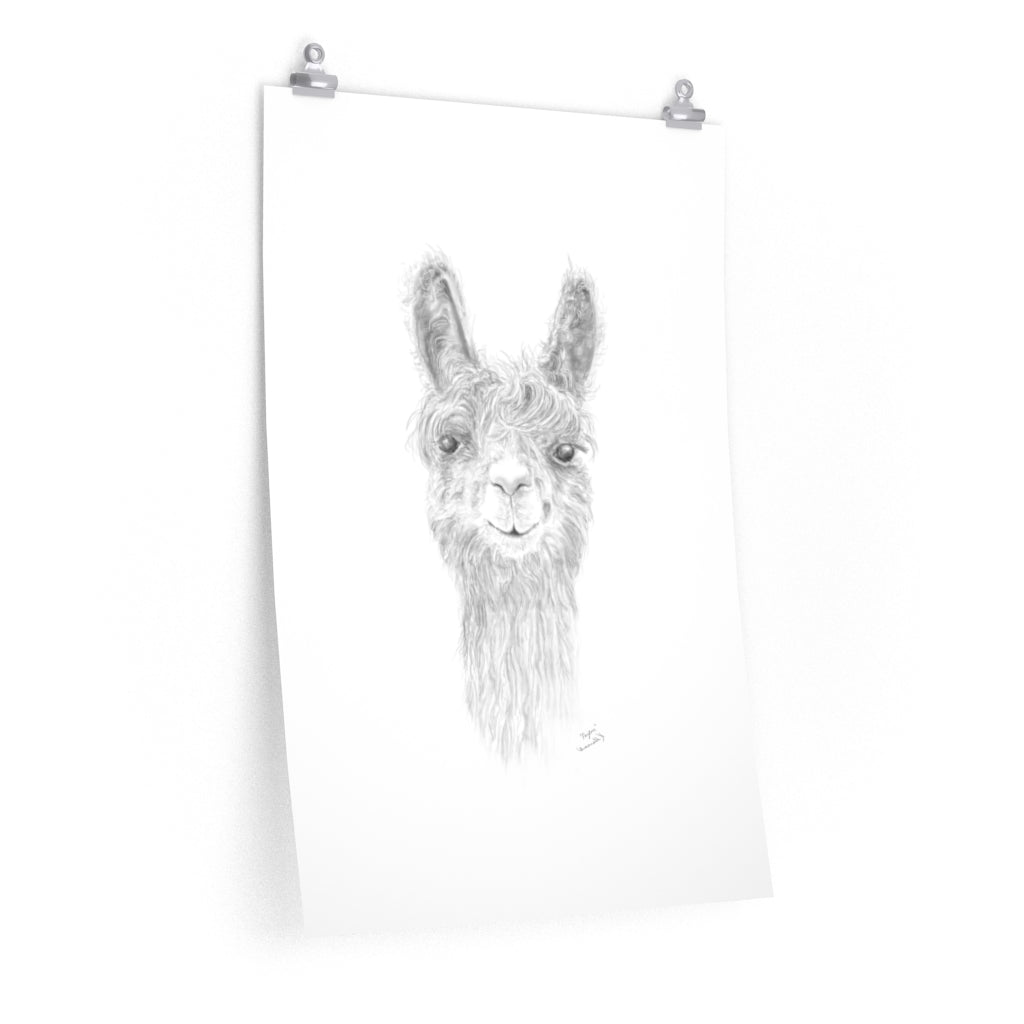 PAYTON Llama- Art Paper Print