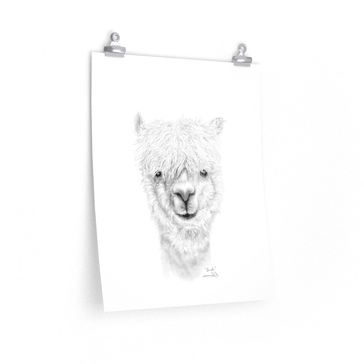 RANDI Llama- Art Paper Print