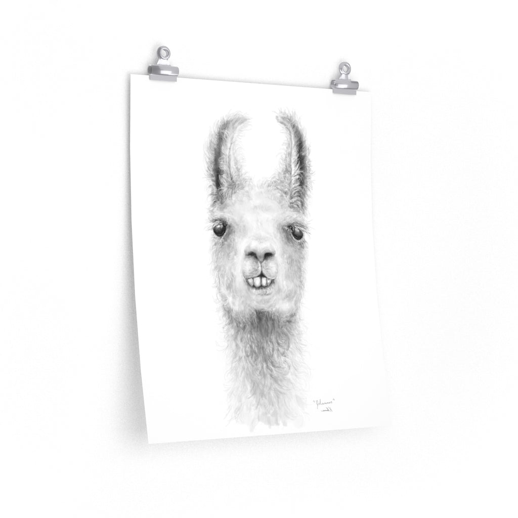 JOHANNES Llama- Art Paper Print