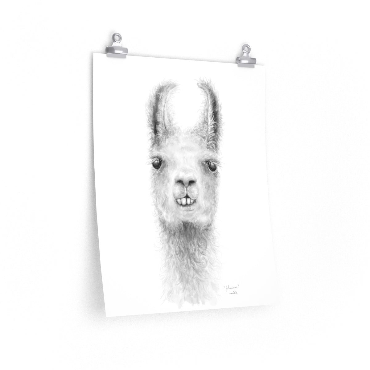 JOHANNES Llama- Art Paper Print