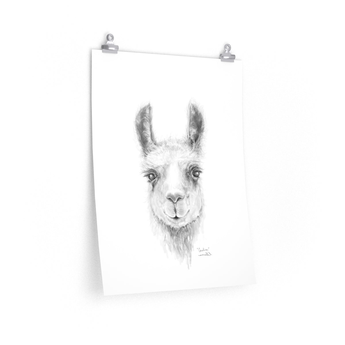 CAROLINE Llama- Art Paper Print