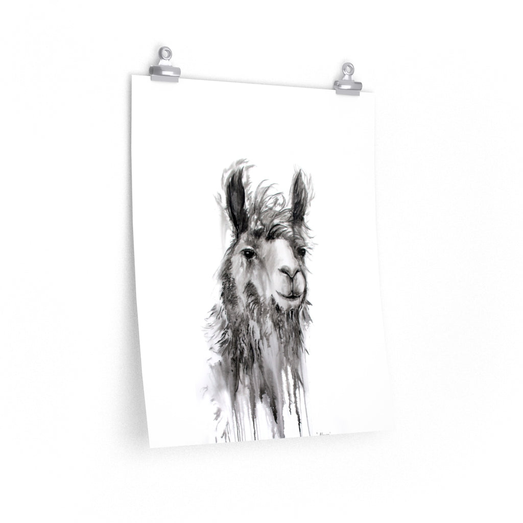 ALFONSO Llama- Art Paper Print