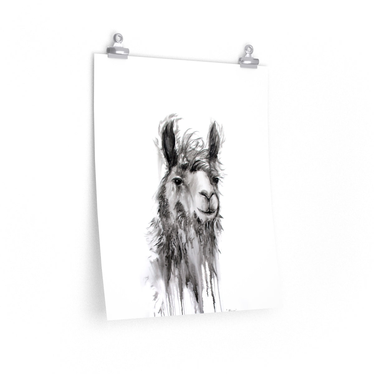 ALFONSO Llama- Art Paper Print