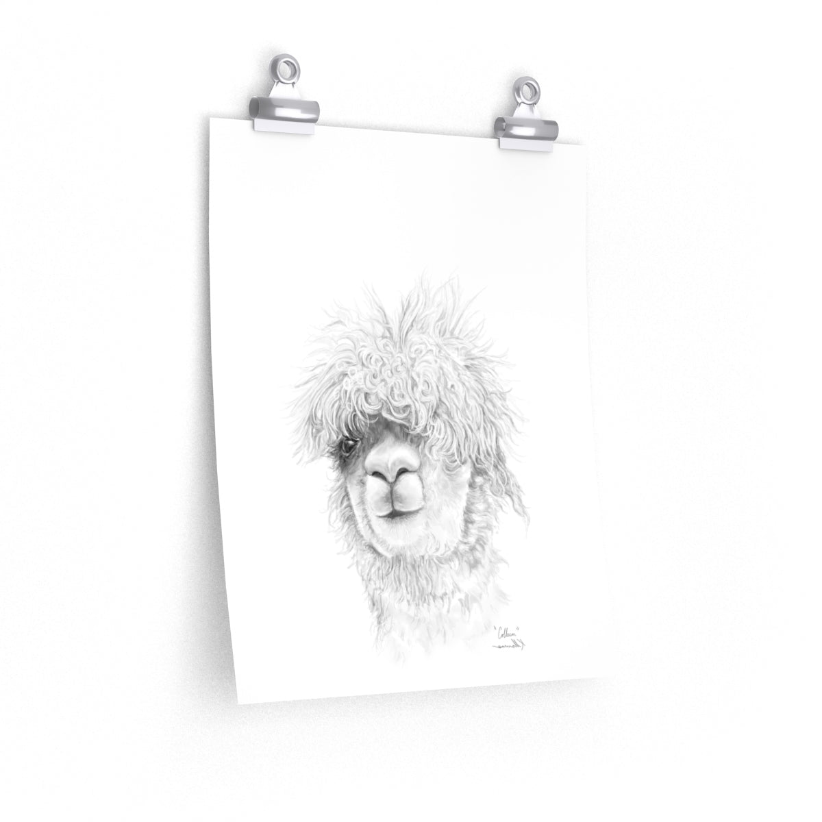 COLLEEN Llama- Art Paper Print