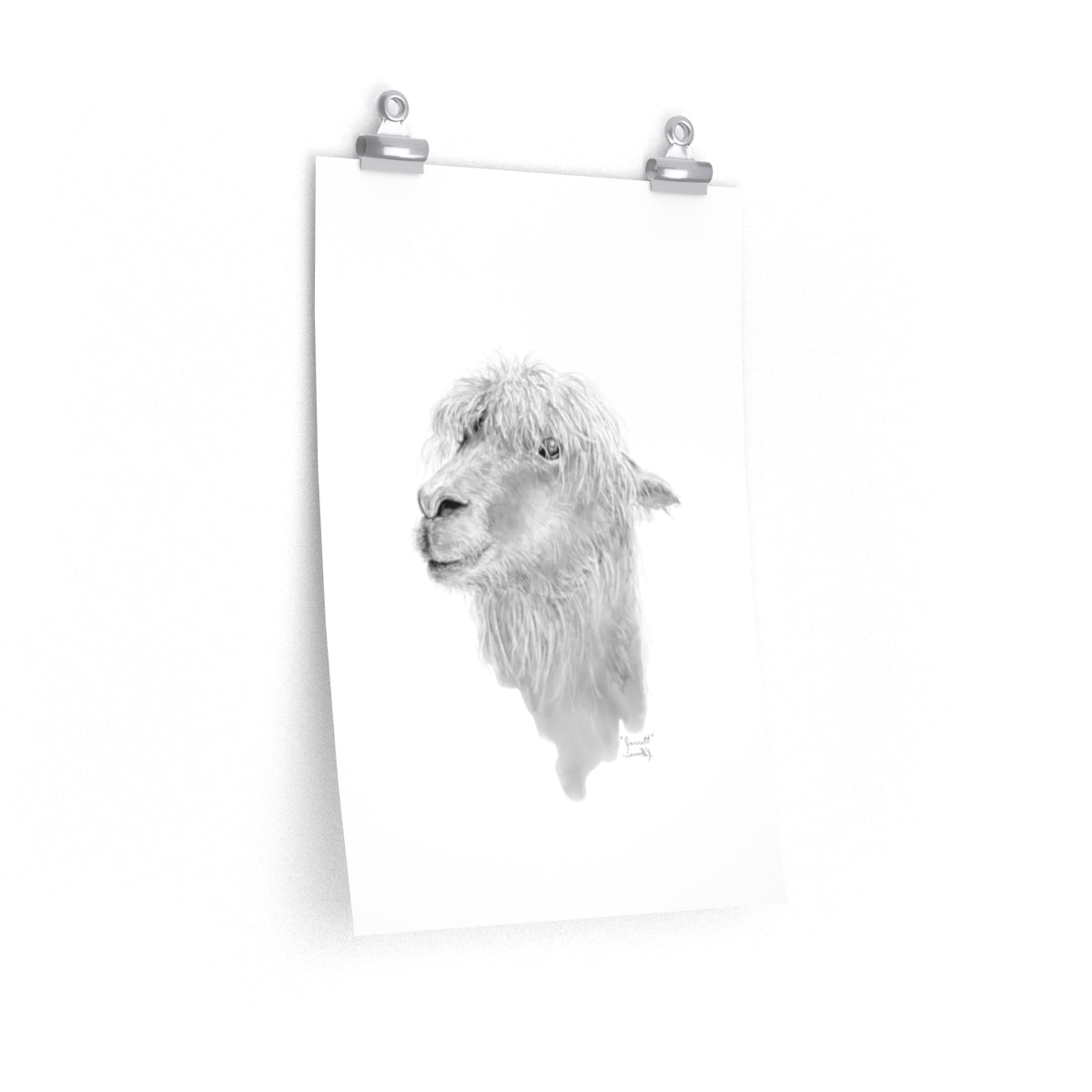 JARRETT Llama- Art Paper Print