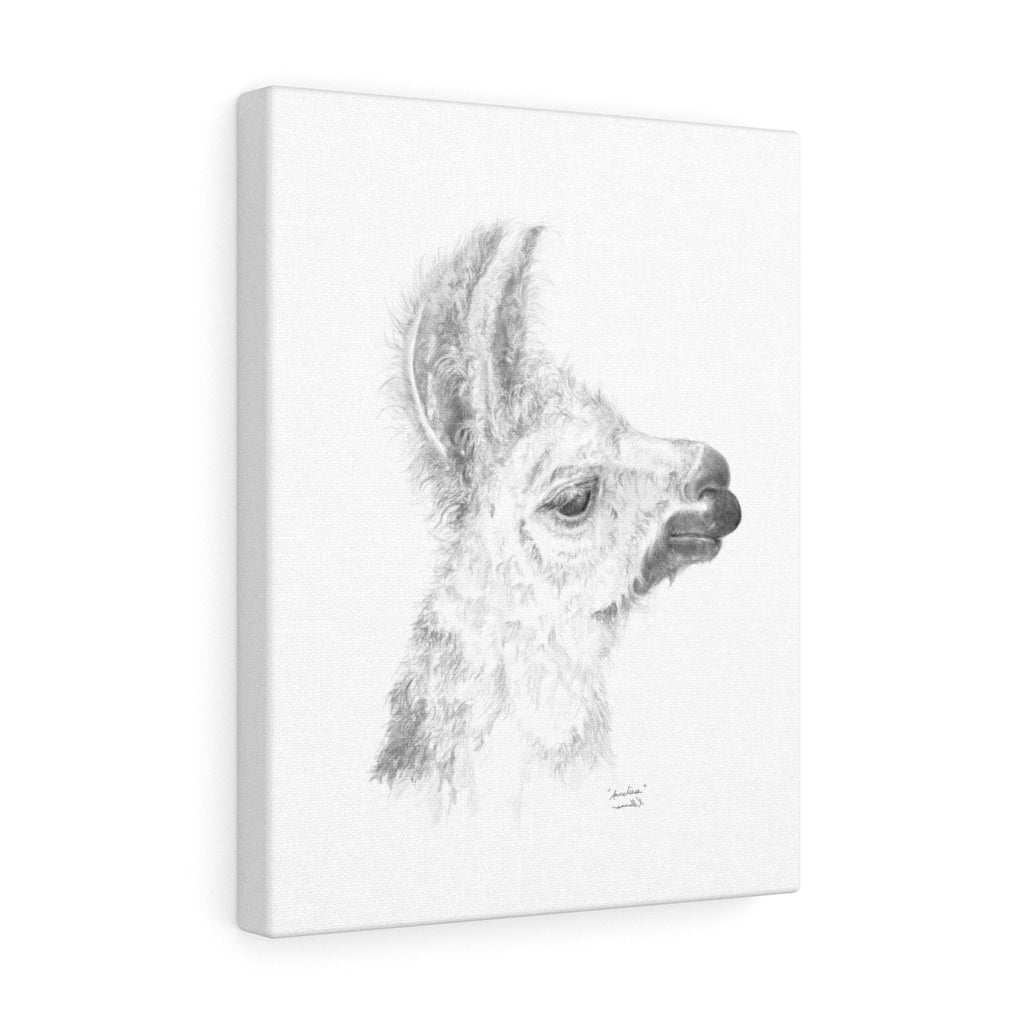 ANNELIESE Llama - Art Canvas