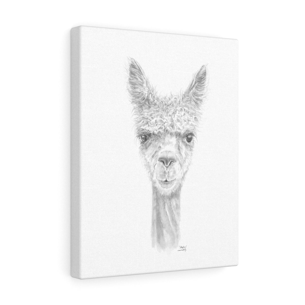 STEPHEN Llama - Art Canvas