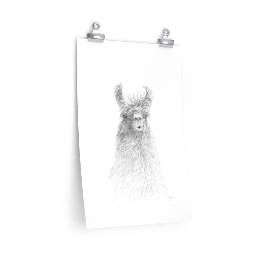 FRANCINE Llama- Art Paper Print