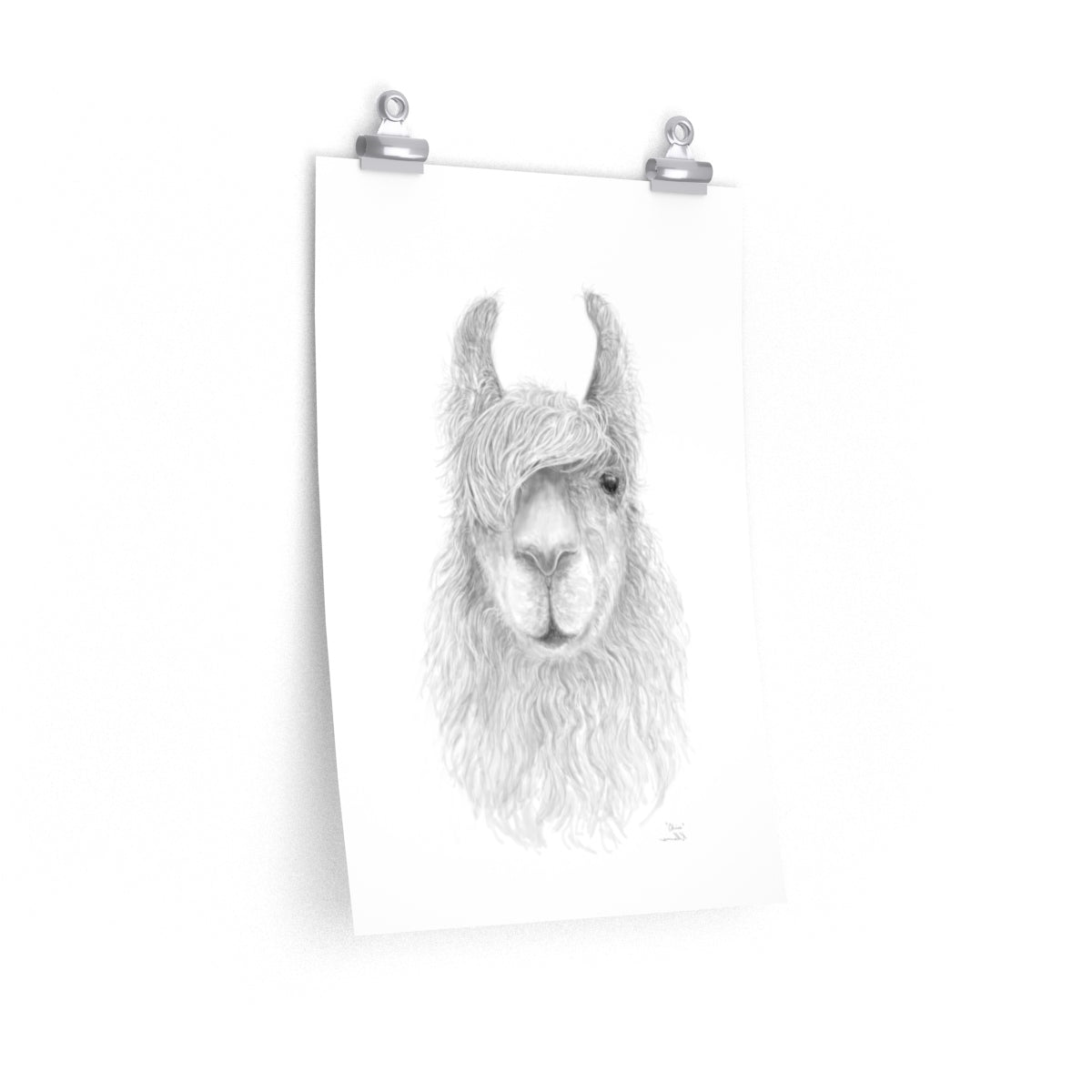 CHRIS Llama- Art Paper Print