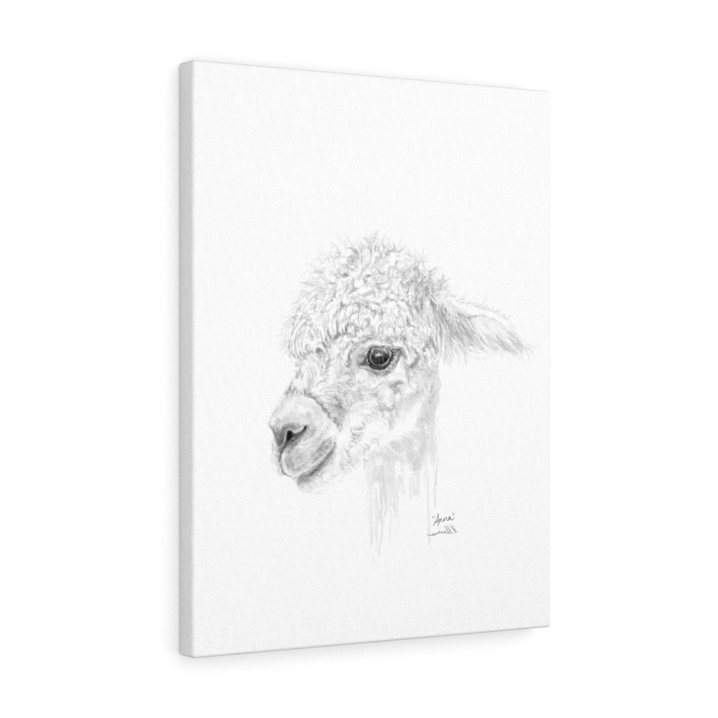 ANNA Llama - Art Canvas