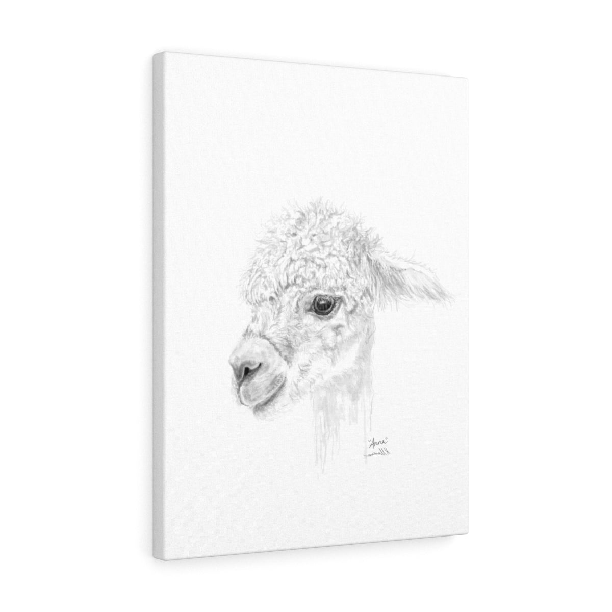 ANNA Llama - Art Canvas