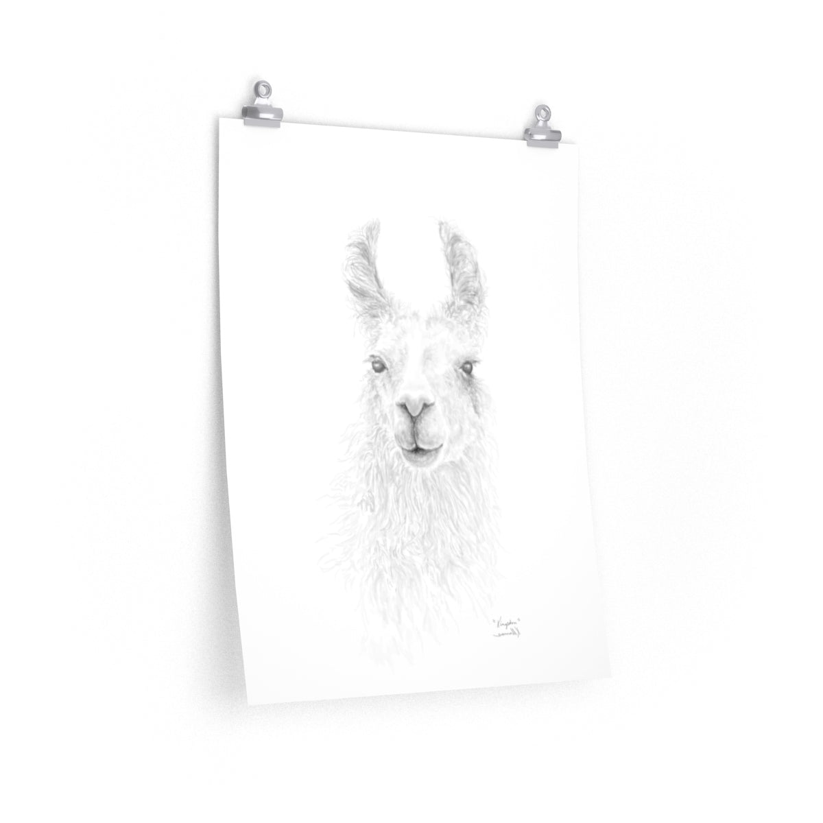 KINGSTON Llama- Art Paper Print