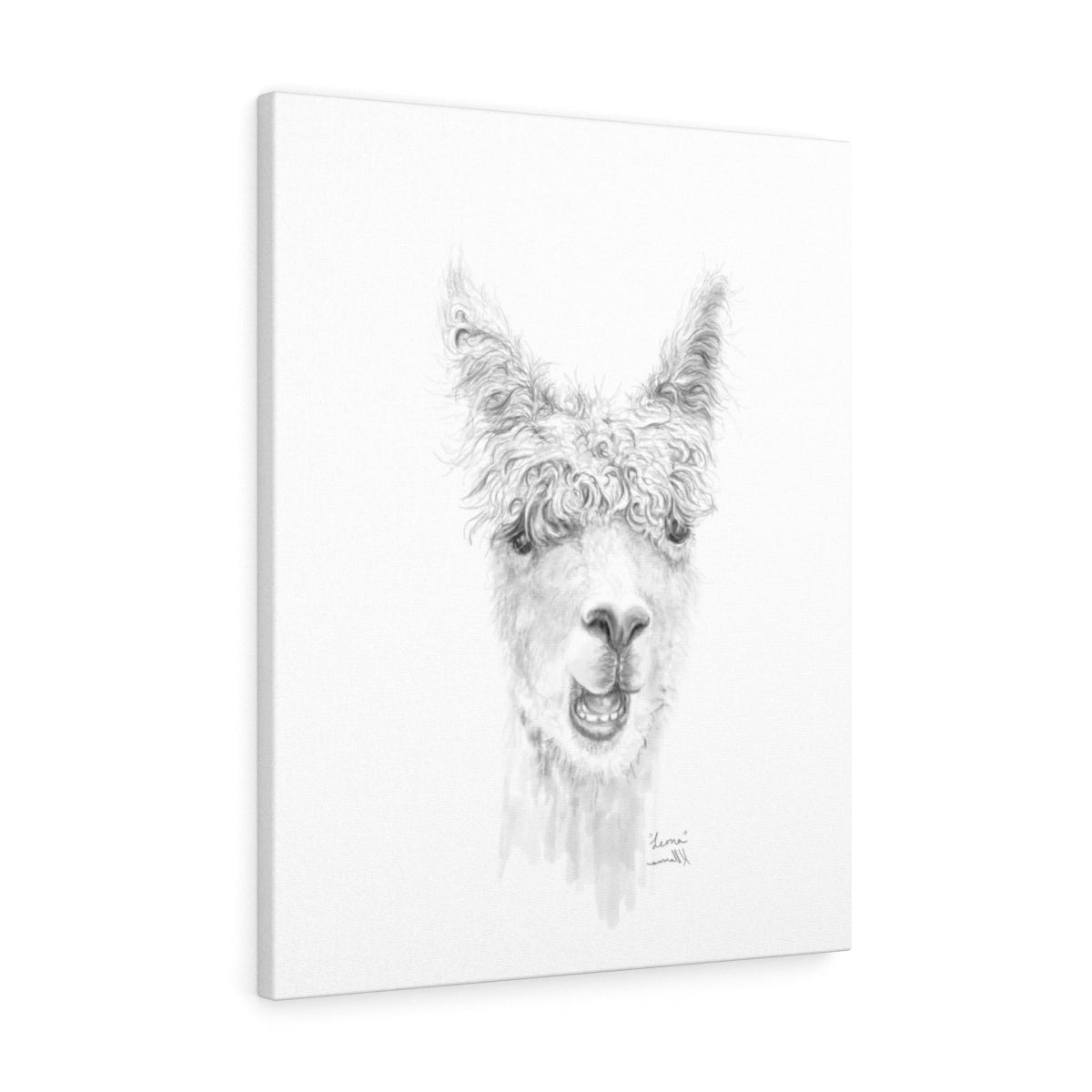 LEONA Llama - Art Canvas