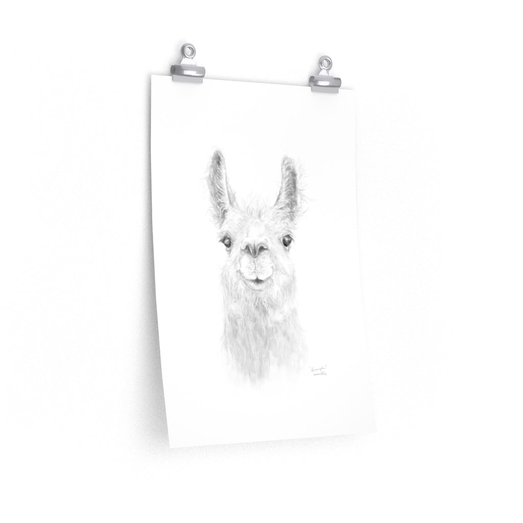 KENSINGTON Llama- Art Paper Print
