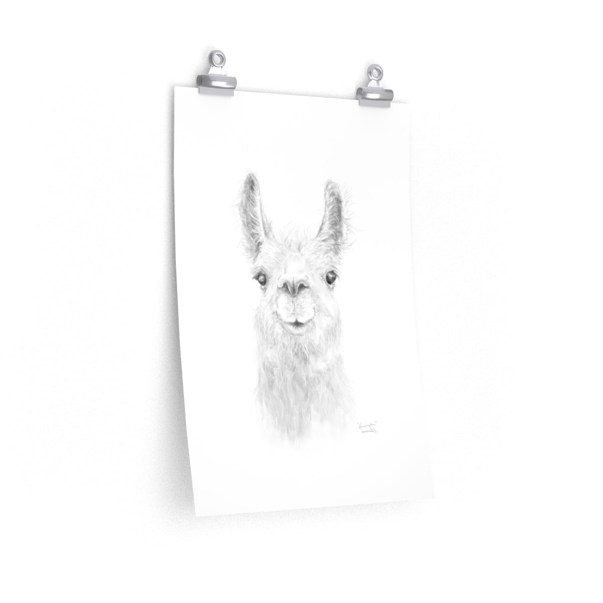 KENSINGTON Llama- Art Paper Print