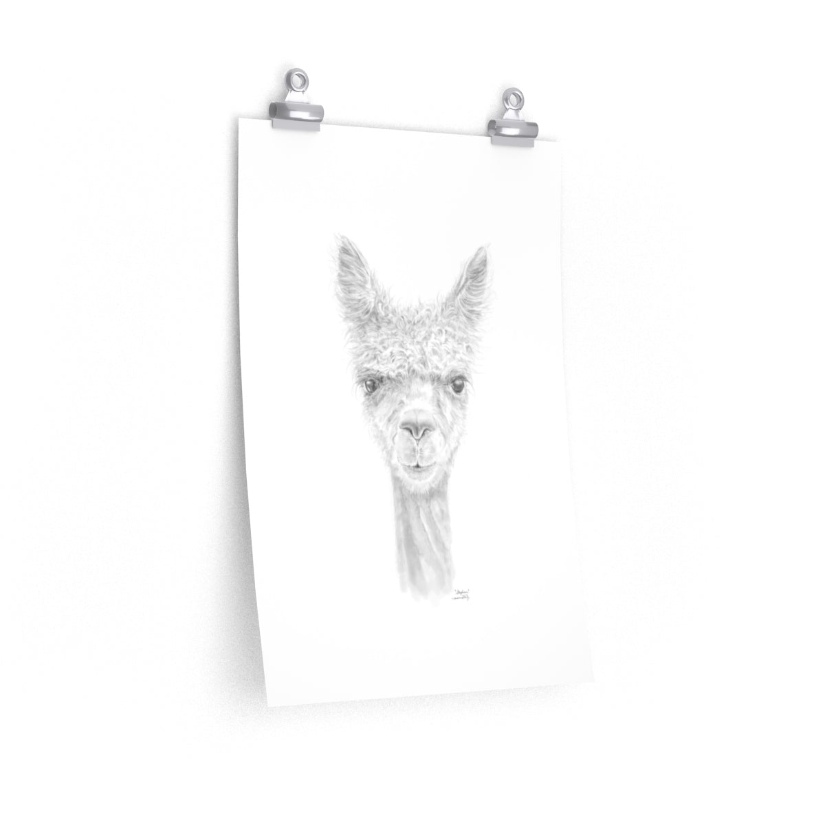 STEPHEN Llama- Art Paper Print