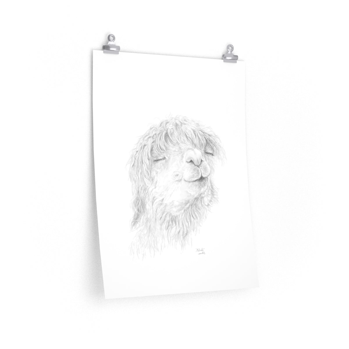 MELINDA Llama- Art Paper Print