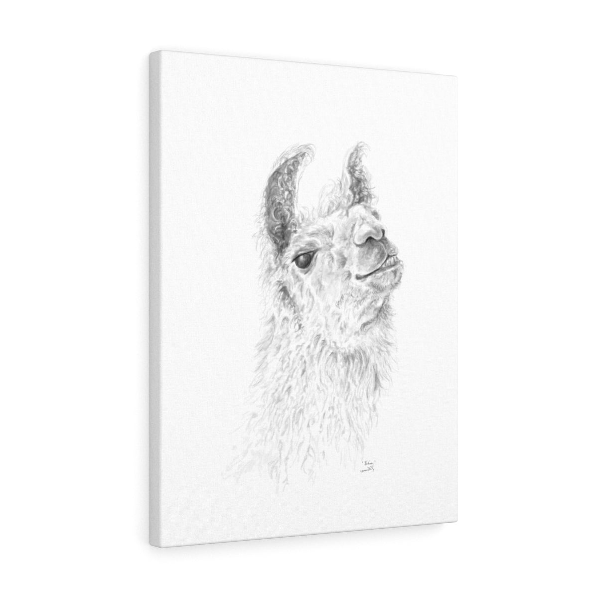 RODNEY Llama - Art Canvas