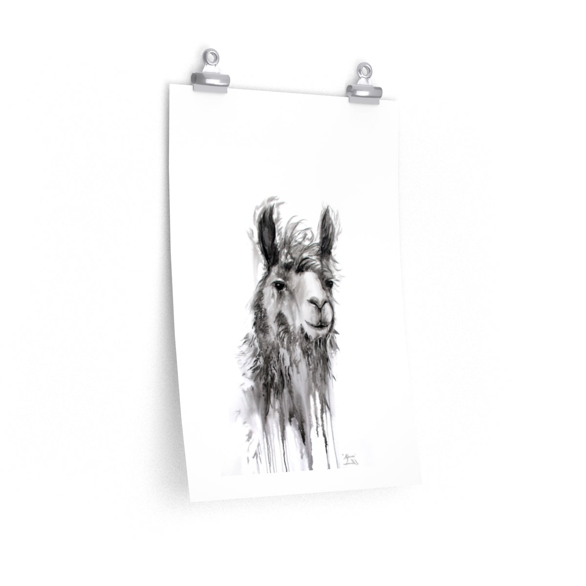 ALFONSO Llama- Art Paper Print