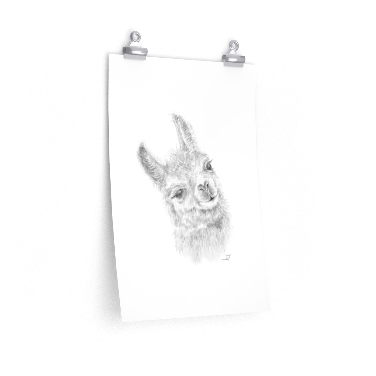 Posey Llama- Art Paper Print