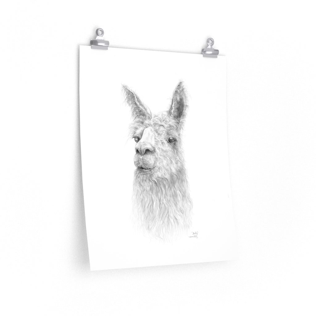 SHELLY Llama- Art Paper Print