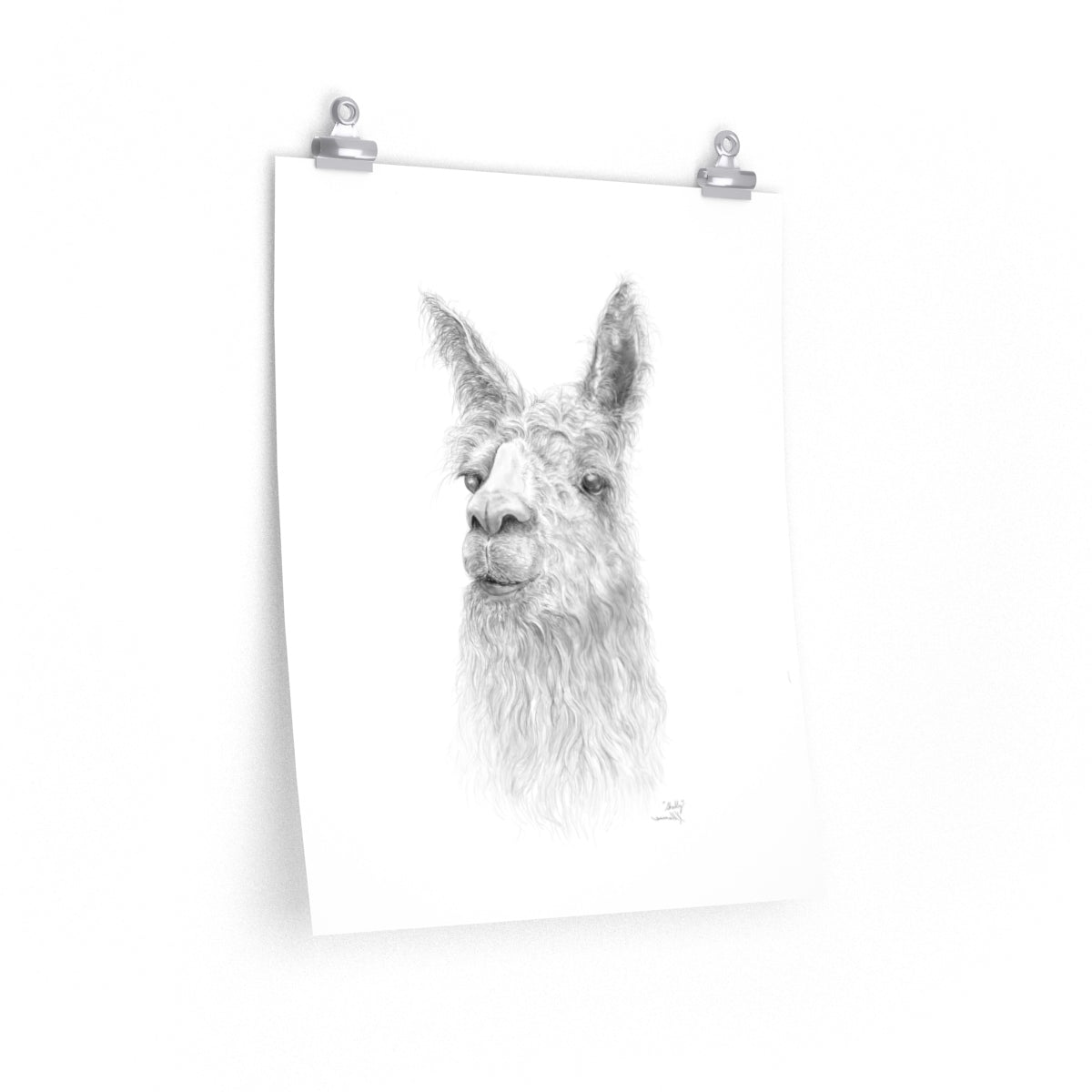 SHELLY Llama- Art Paper Print