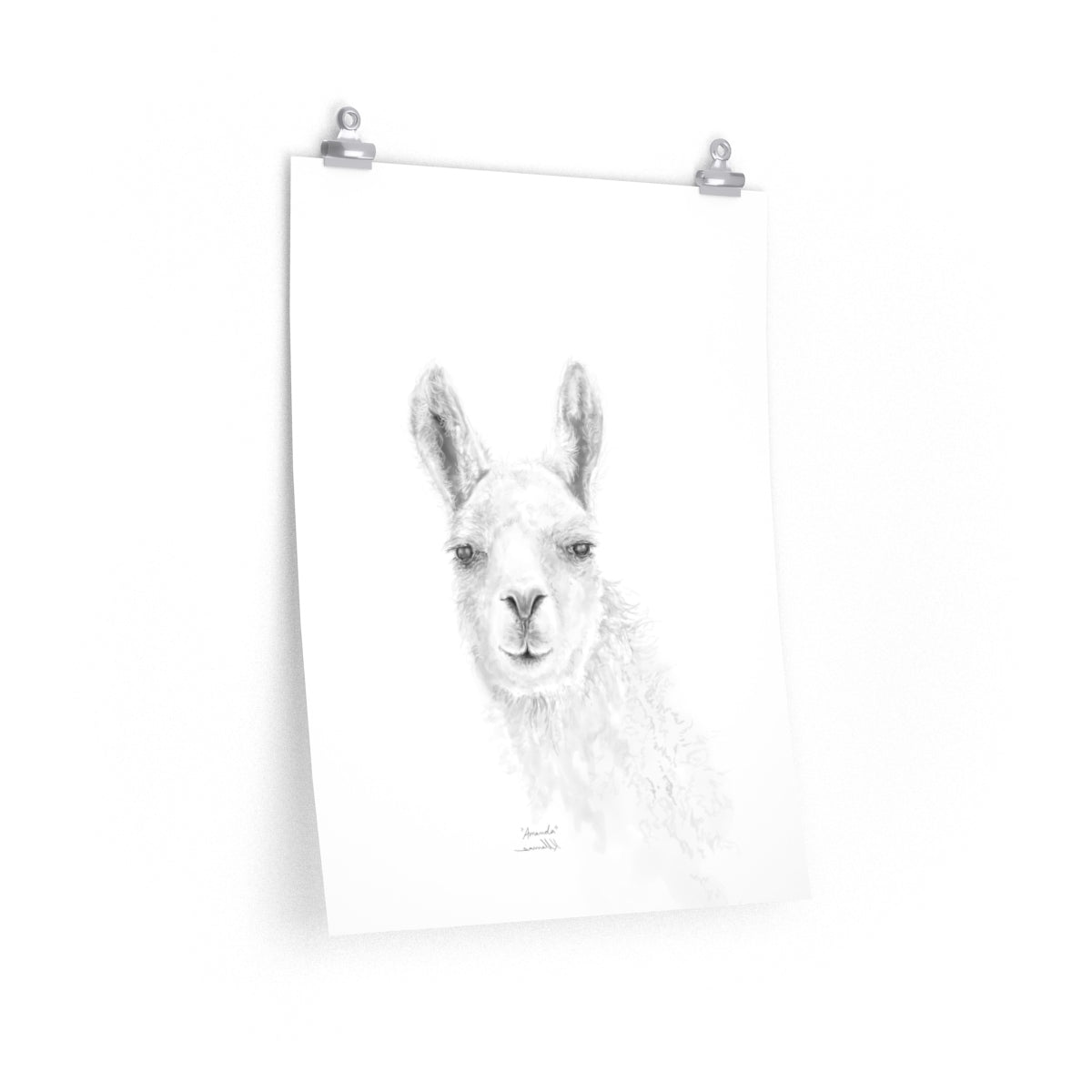 AMANDA Llama- Art Paper Print
