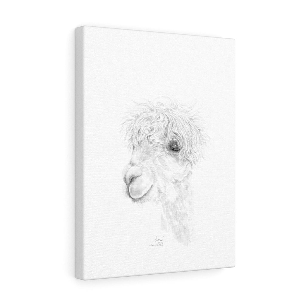 LORI Llama - Art Canvas