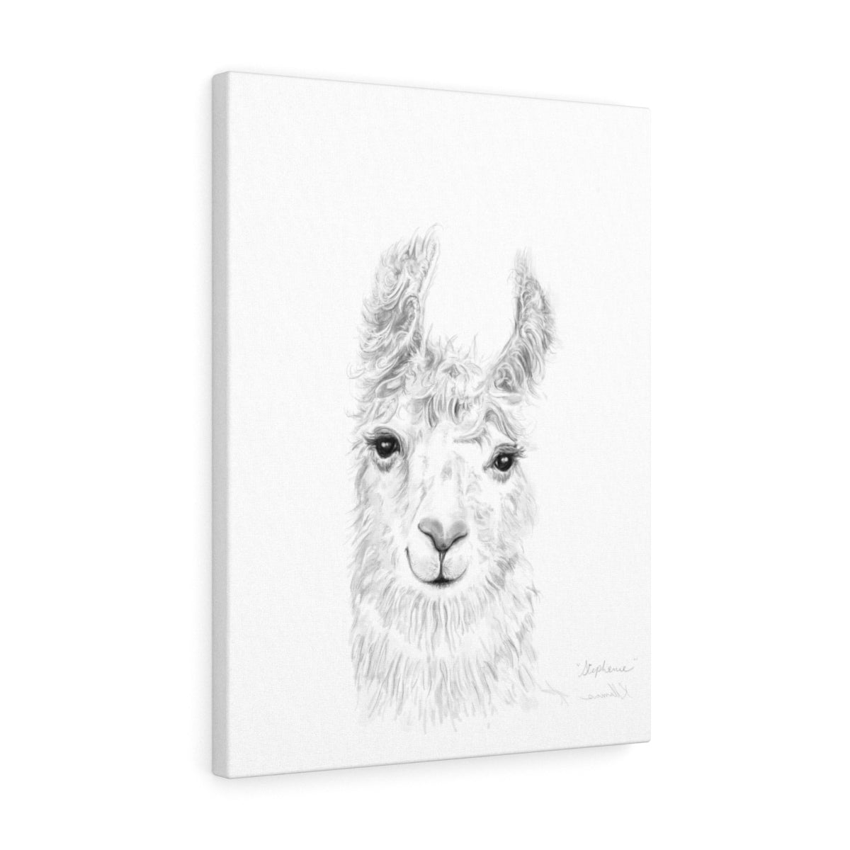 STEPHANIE Llama - Art Canvas
