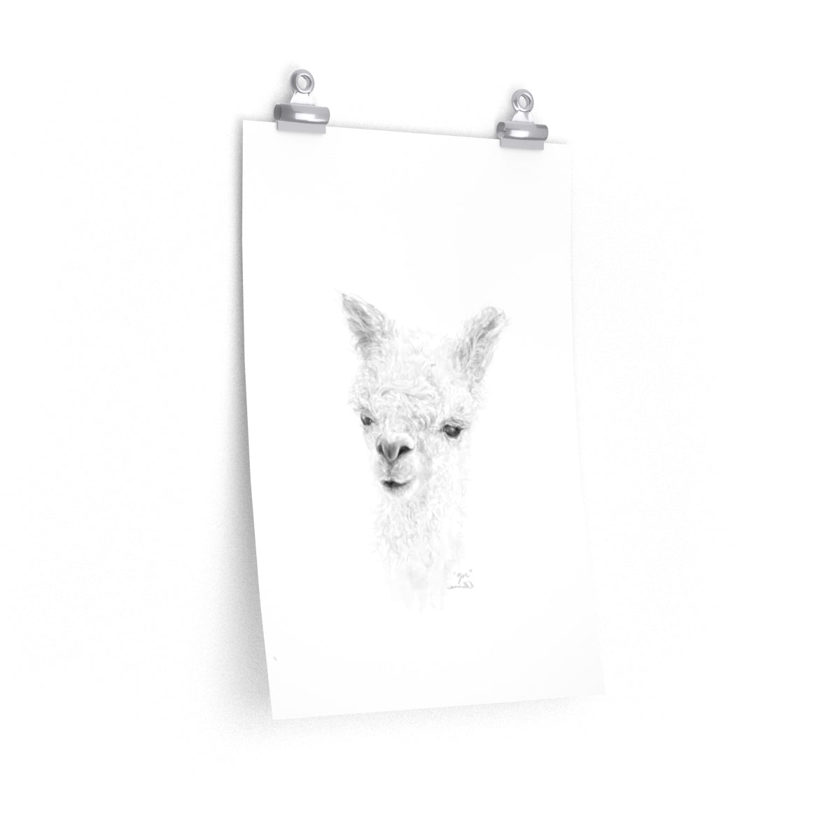 ZOE Llama- Art Paper Print