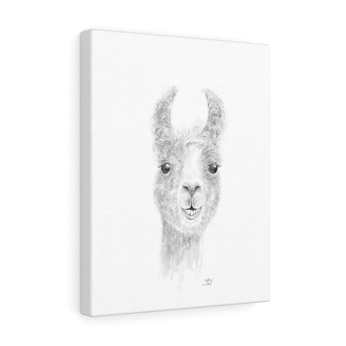 MALLORY Llama - Art Canvas