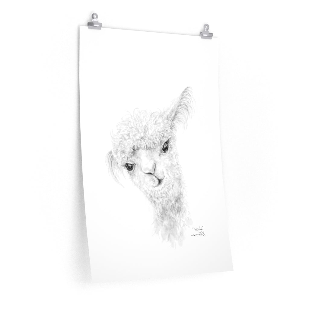 NATALIA Llama- Art Paper Print