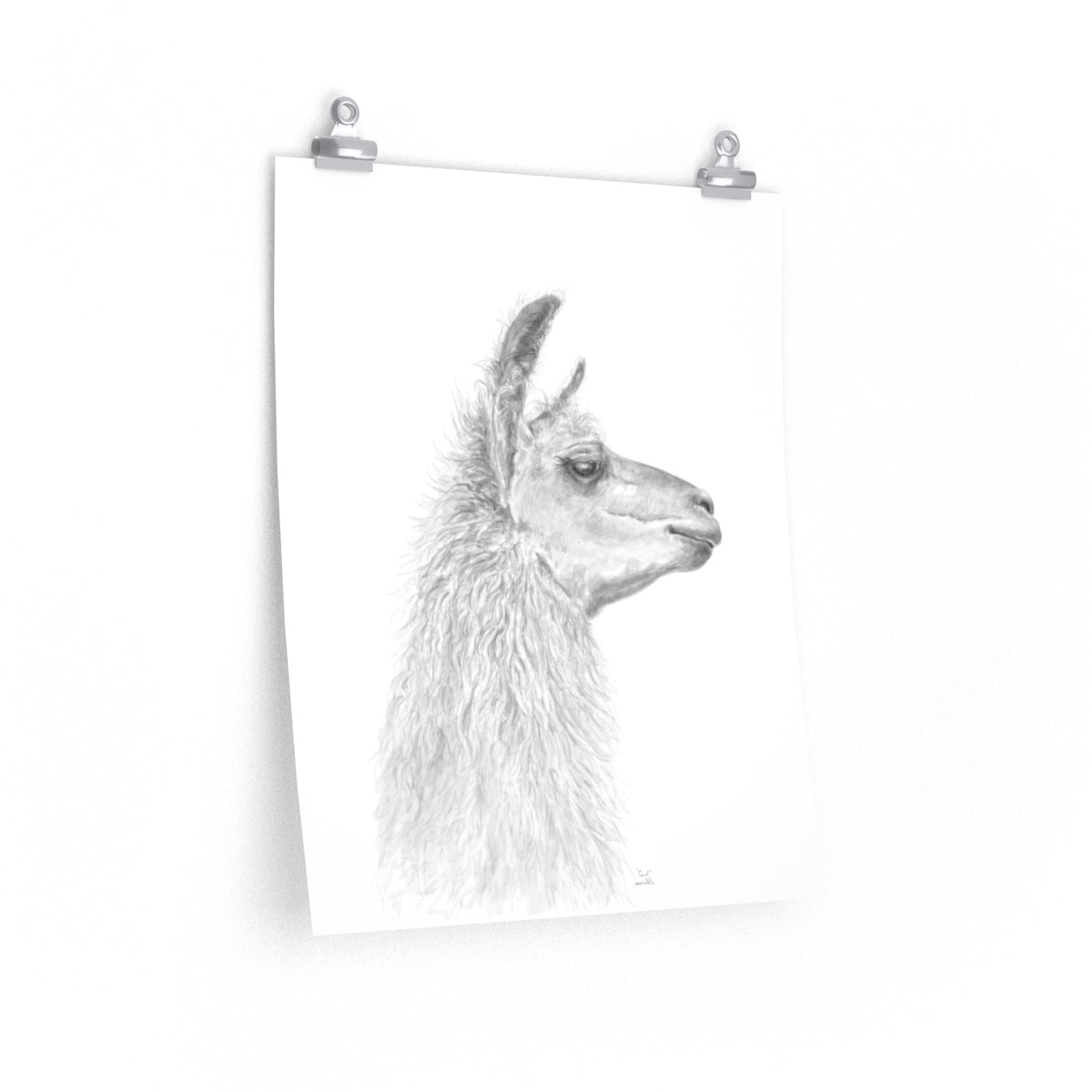 CAROL Llama- Art Paper Print