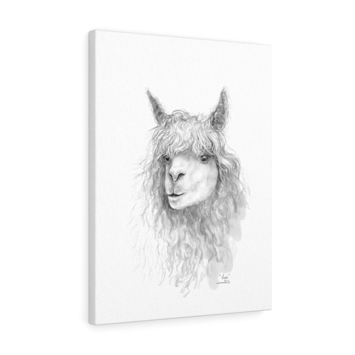 LEXI Llama - Art Canvas