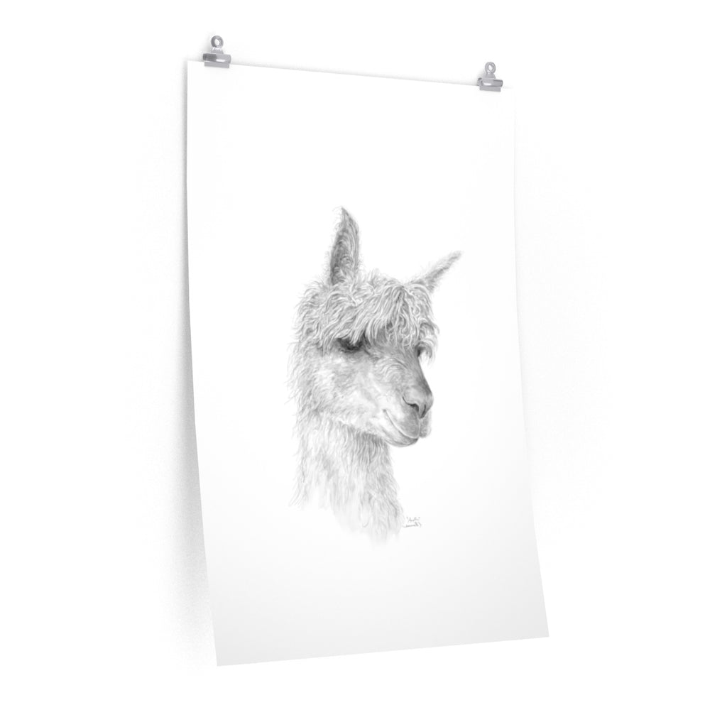 AUSTIN Llama- Art Paper Print
