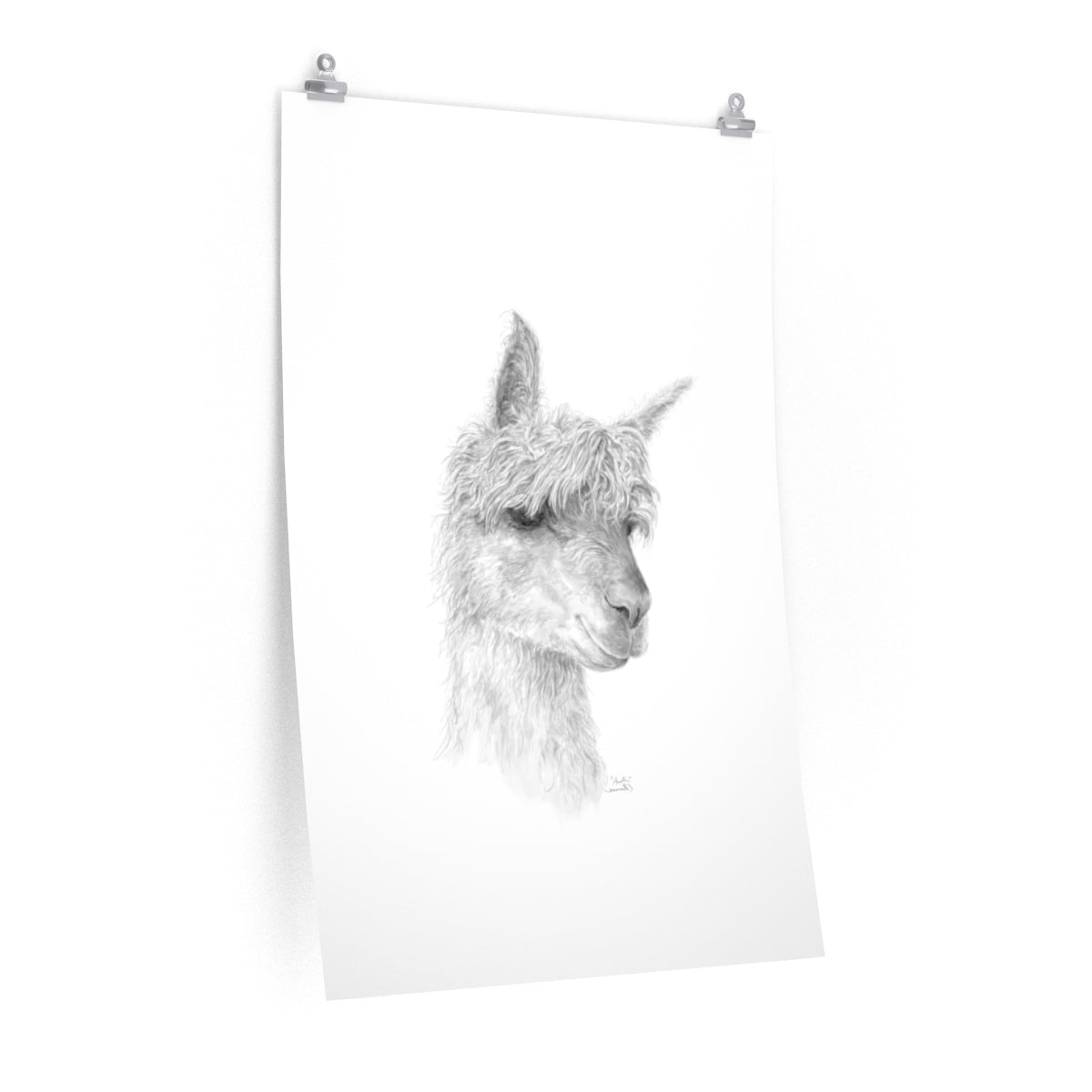 AUSTIN Llama- Art Paper Print