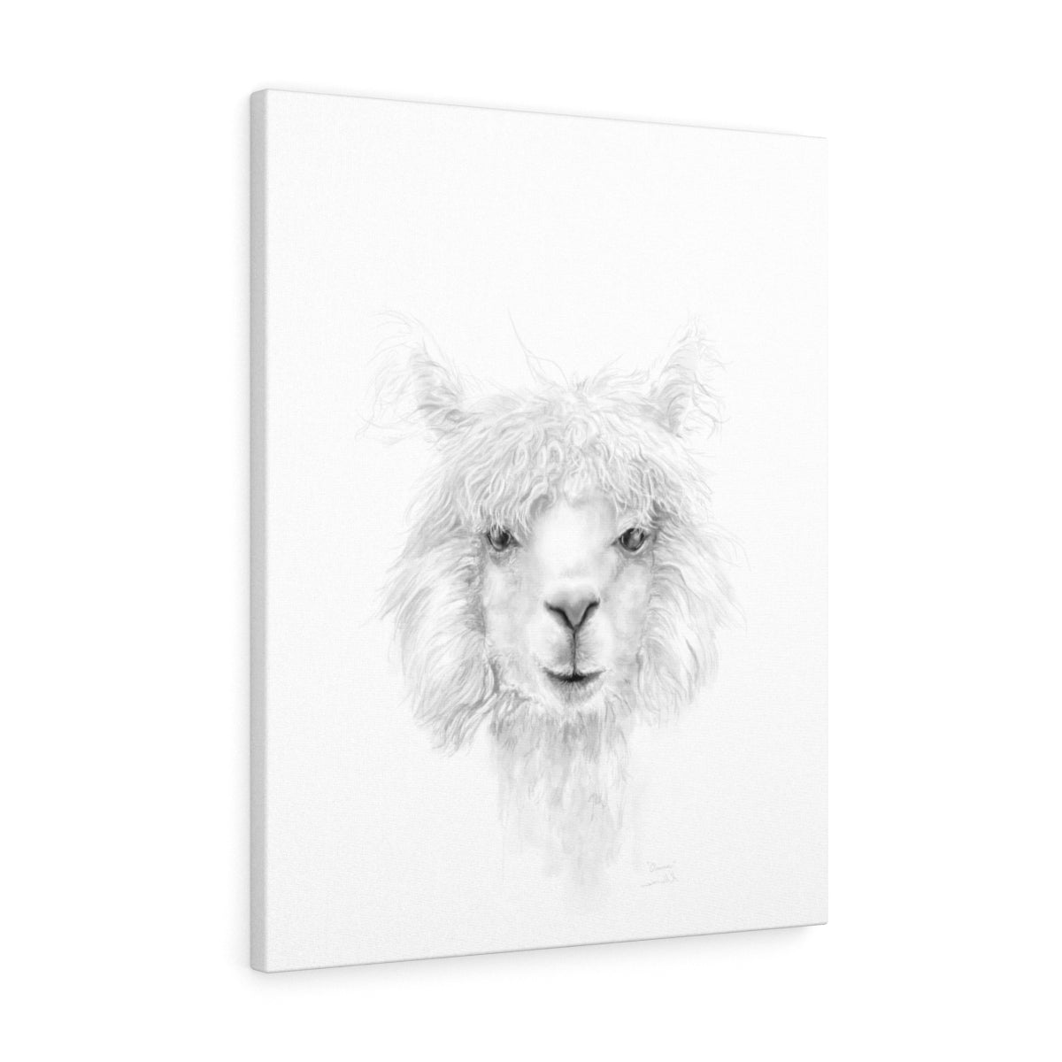 QUINN Llama - Art Canvas