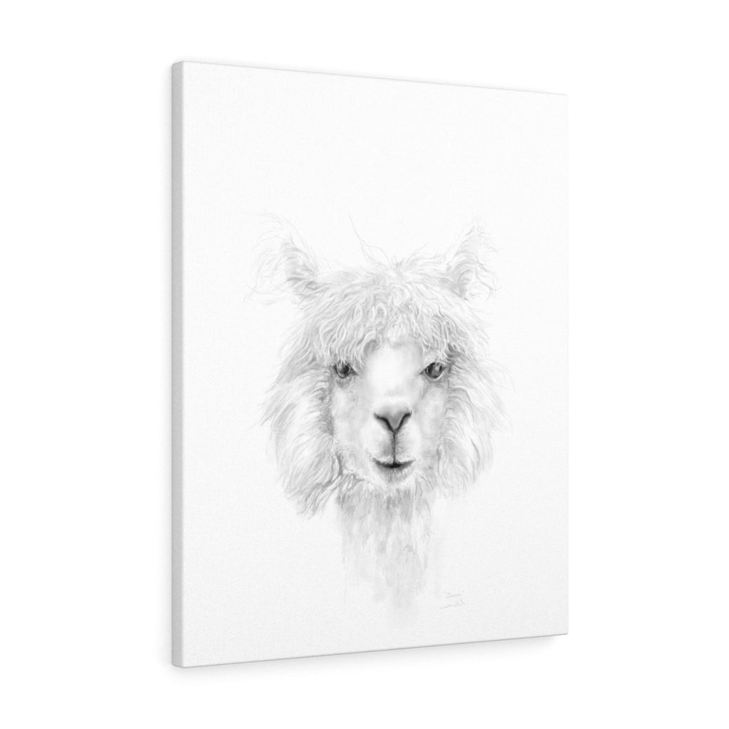 QUINN Llama - Art Canvas