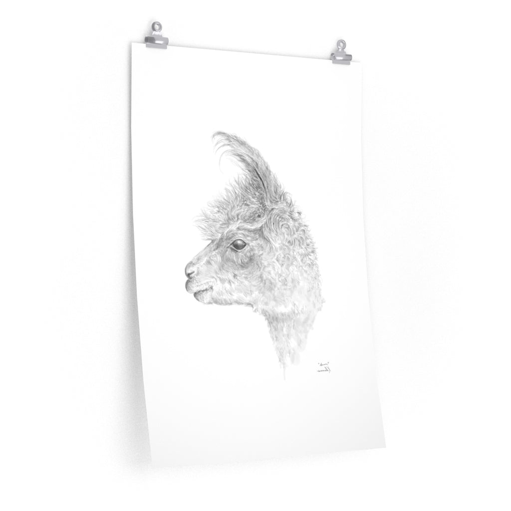 AARON Llama- Art Paper Print