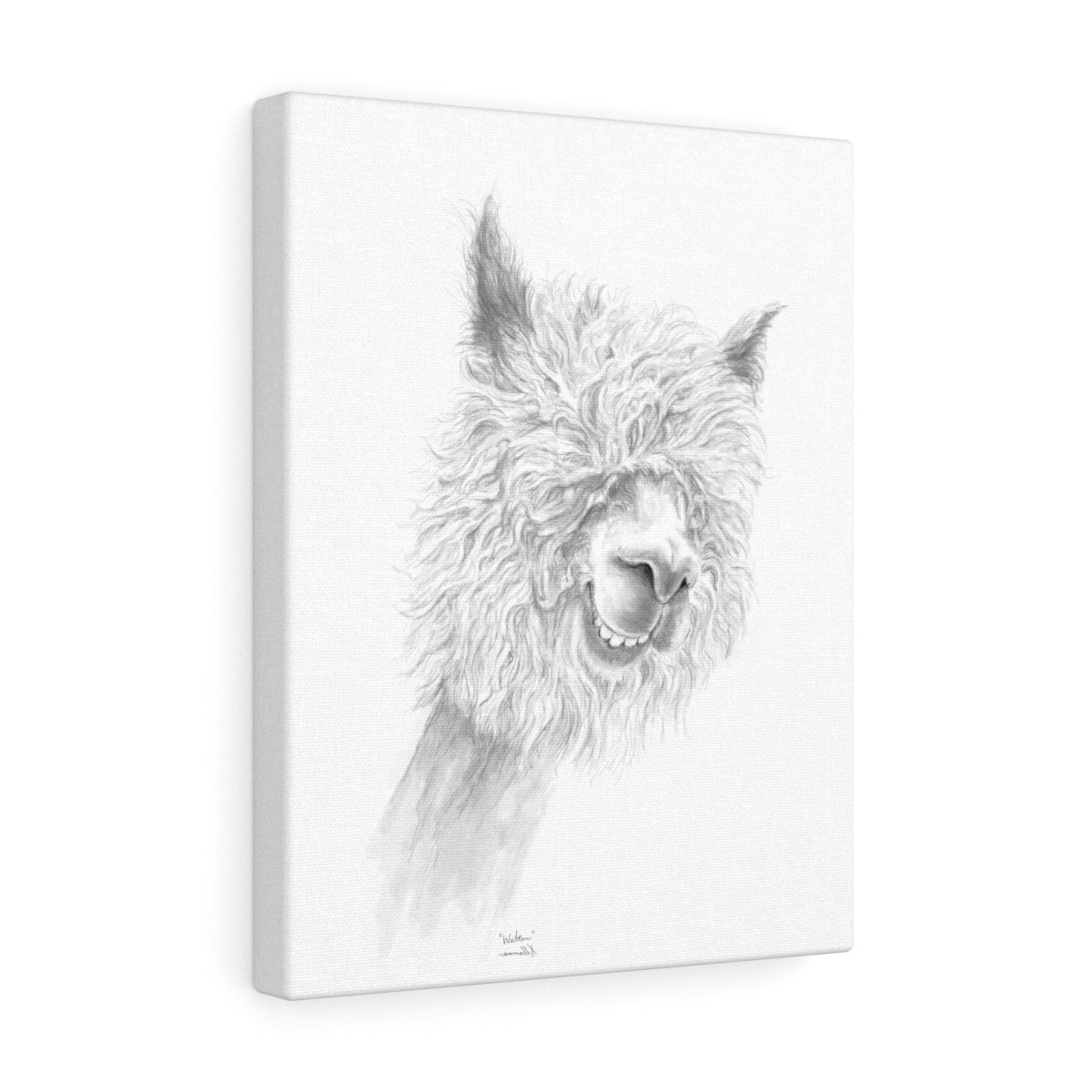 WALTER Llama - Art Canvas