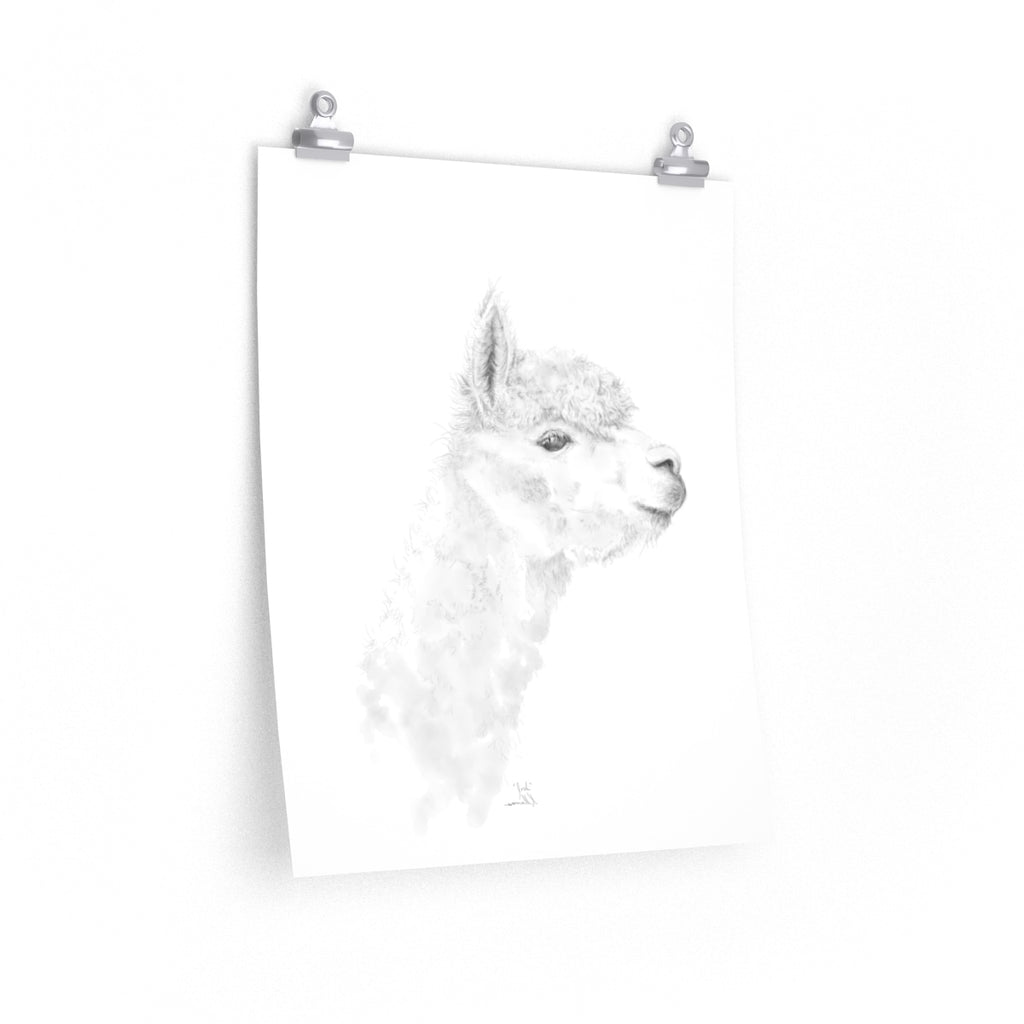 JOSH Llama- Art Paper Print
