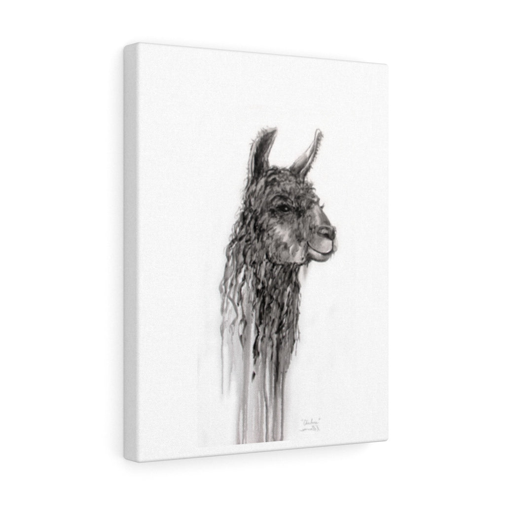 CHARLENE Llama - Art Canvas